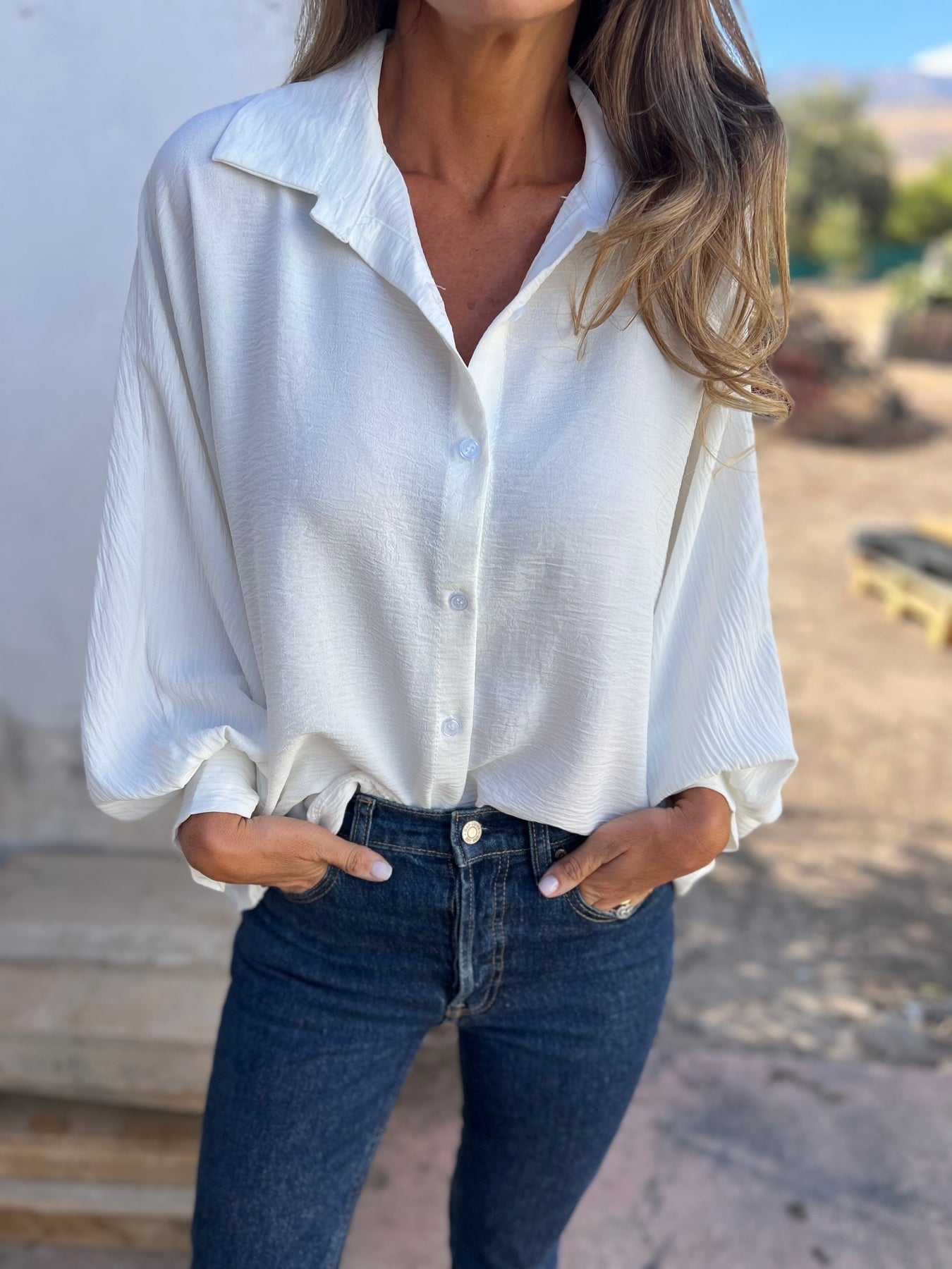 Wide Puffed Sleeves Blouse